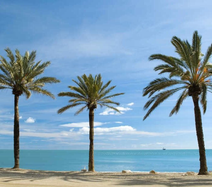 Self-contained Storage and Removals on the Costa del Sol