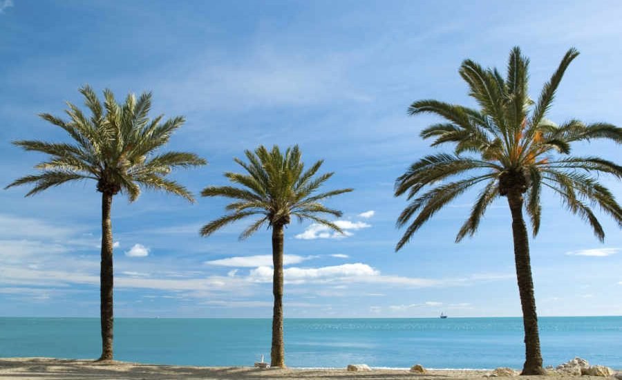 Self-contained Storage and Removals on the Costa del Sol