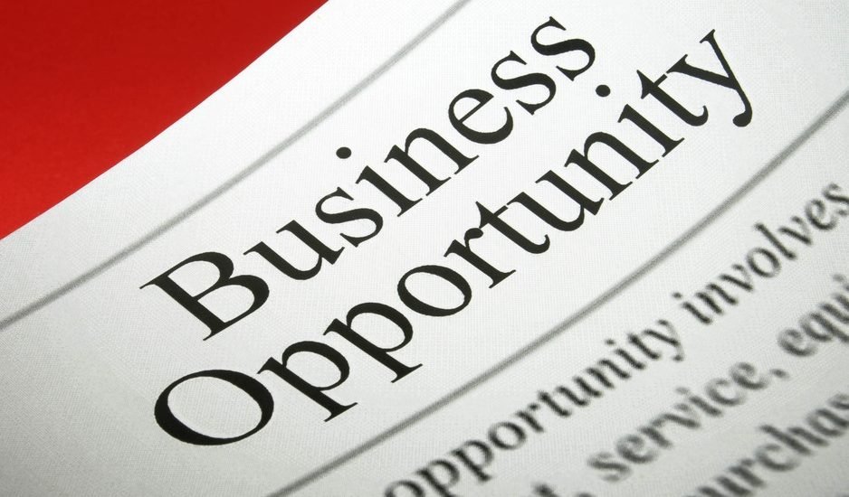 Business Opportunity in San Pedro de Alcantara